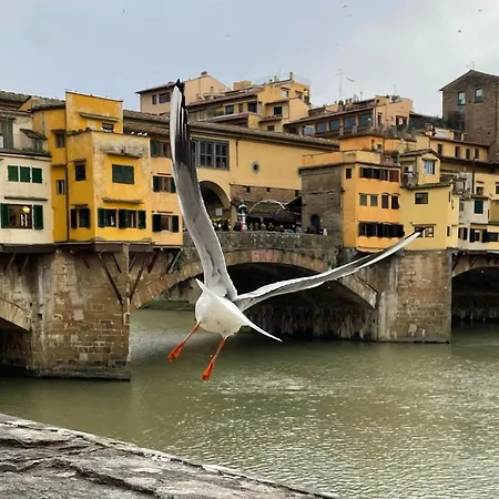 Modern In The Heart Of