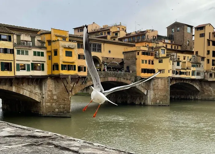 Modern In The Heart Of